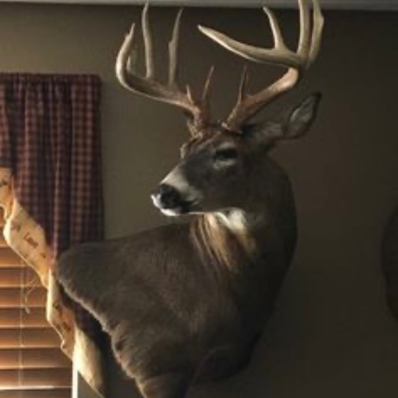 Meet your Posher, Jimmy - Picture 1 of 1